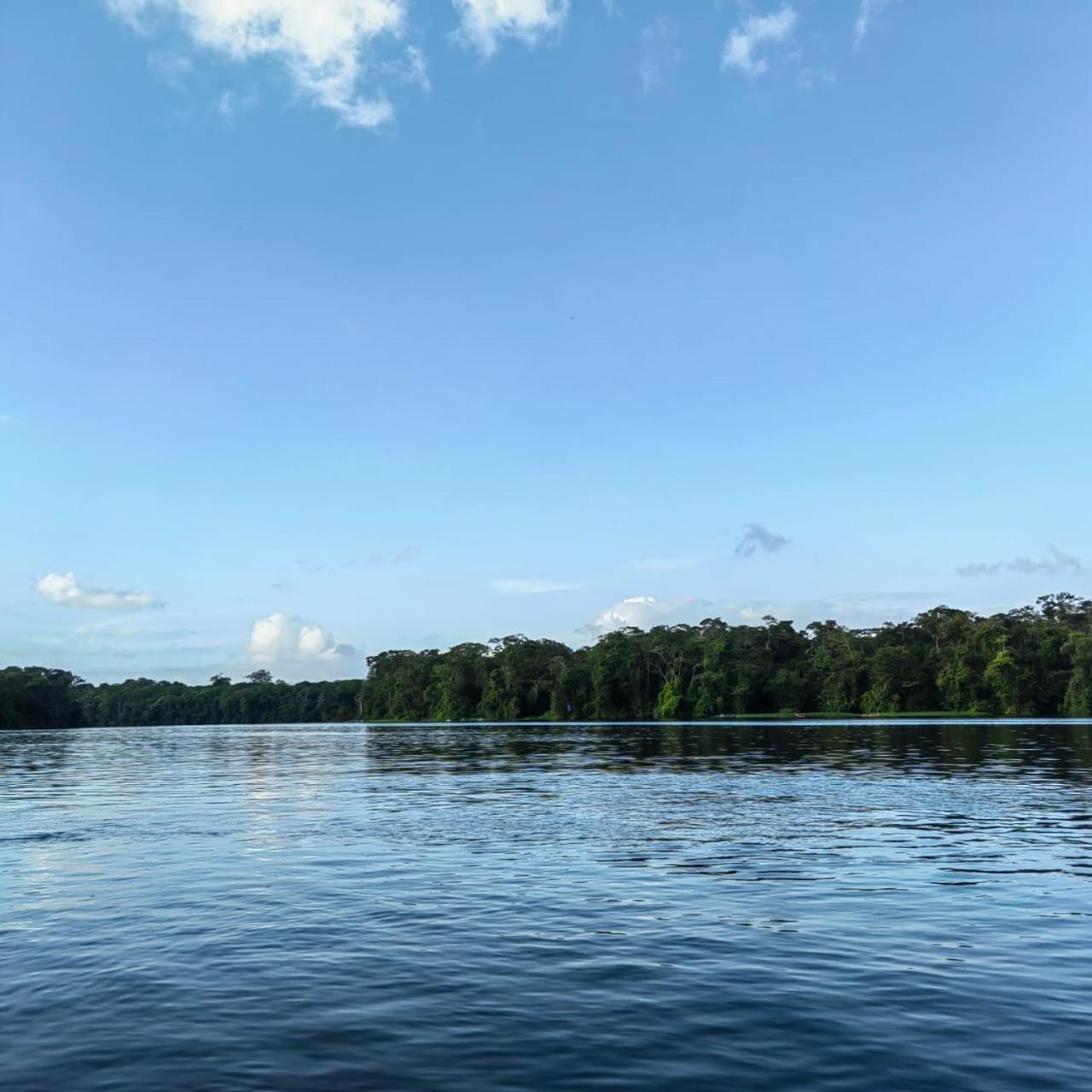 Tortuguero Villas Exteriör bild