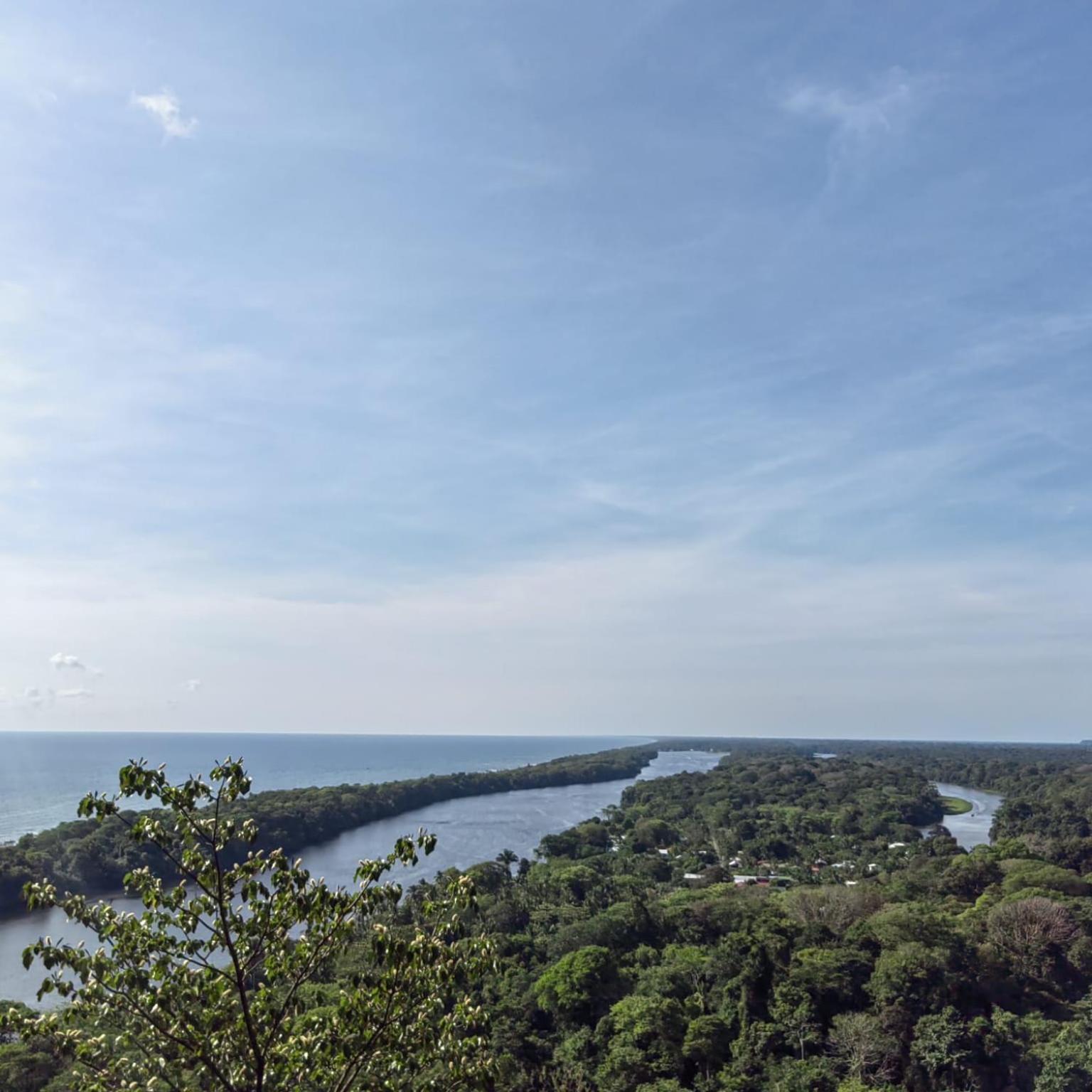 Tortuguero Villas Exteriör bild
