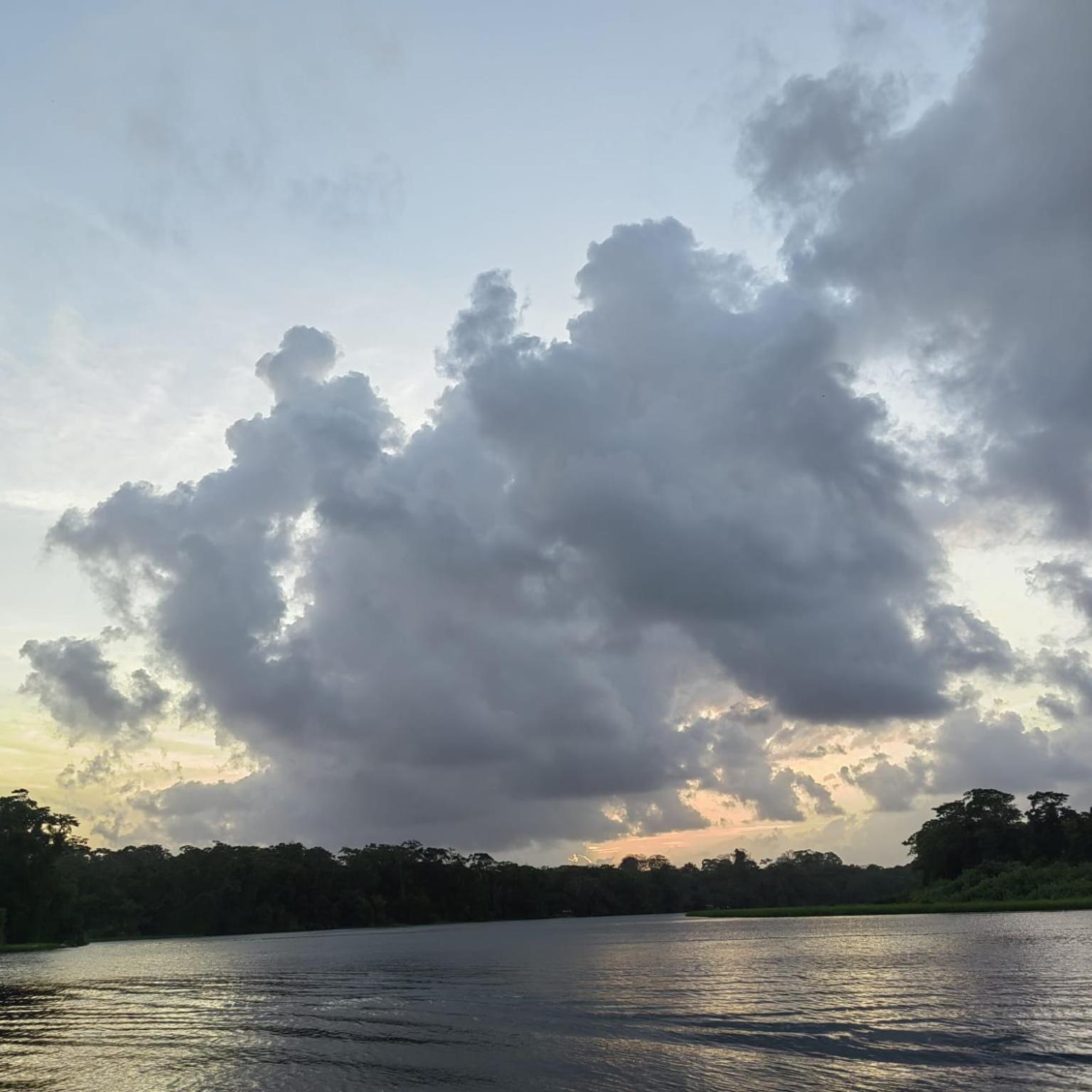 Tortuguero Villas Exteriör bild
