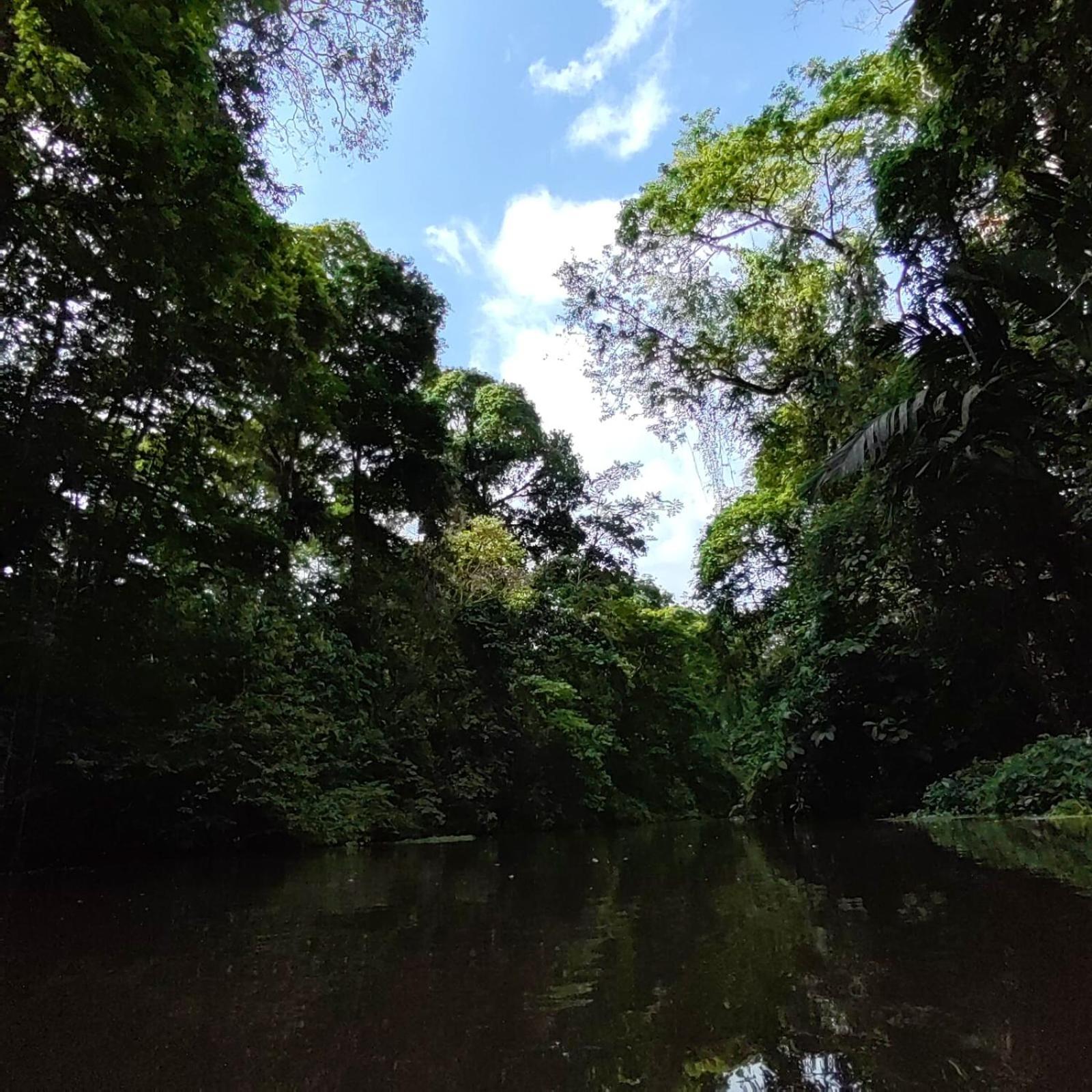 Tortuguero Villas Exteriör bild